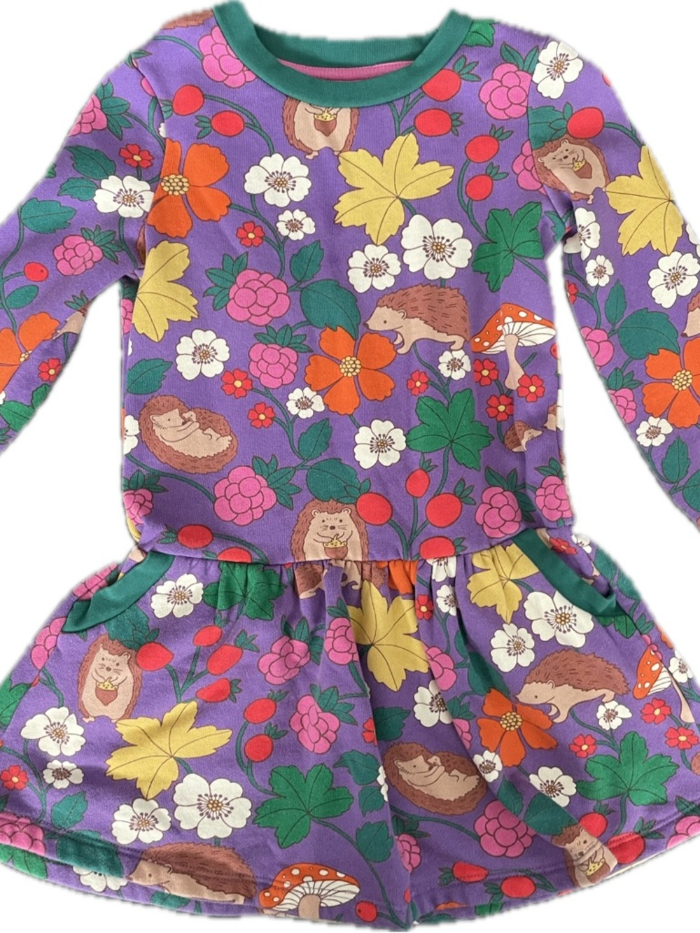 Mini Boden Purple Floral & Hedgehog Knit Dress with Bright Accents